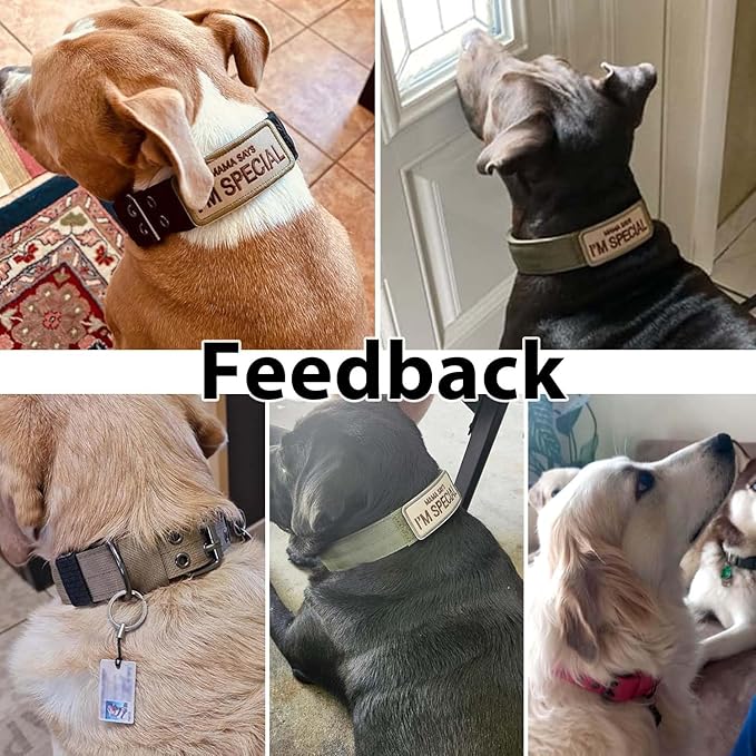 Tactical Dog Collar Military Adjustable Dog Collars Soft Nylon Training Collar with Patch Heavy Duty Metal Buckle Collars for Medium Large Dogs (Black, L)