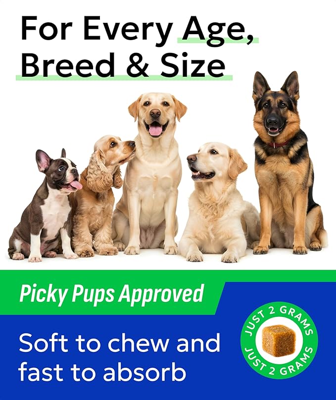 BARK&SPARK Glucosamine Chondroitin Dog Hip & Joint Supplement - Joint Pain Relief - Hip & Joint Chews - Joint Support Large & Small Breed - Senior Doggie Vitamin Pills Joint Health (120 Treats)