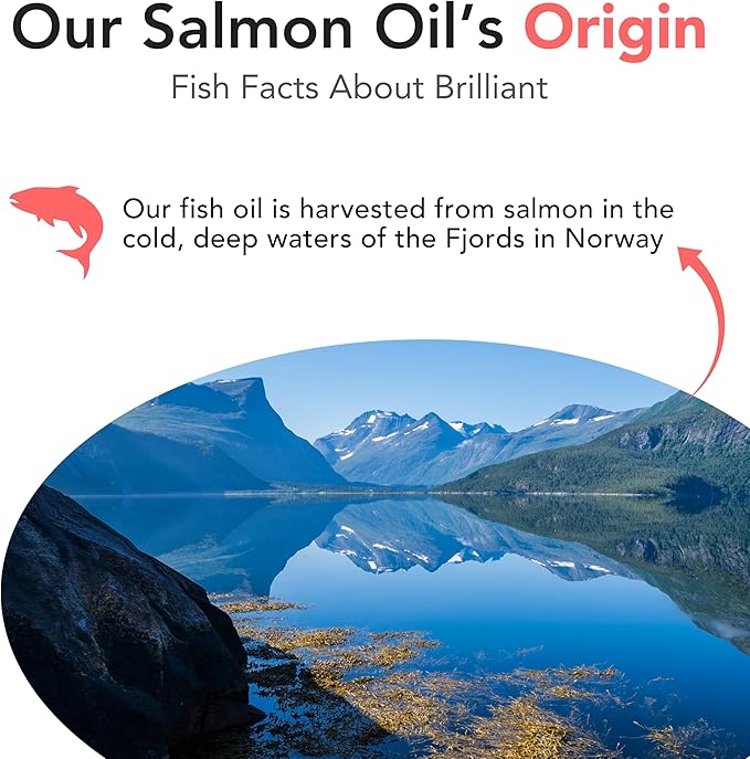 Brilliant Omega 3 Salmon Oil for Dogs & Cats - Norwegian Fish Oil Supplement with EPA & DHA Fatty Acids for Shedding, Allergy, Itching, Dry Skin & Joint Health - Skin and Coat Fish Oil Liquid, 40 Oz