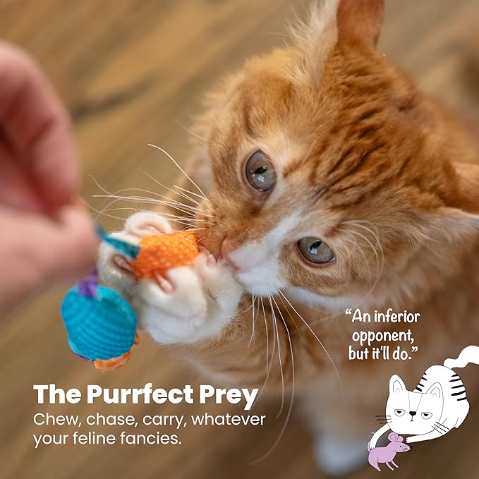 Catstages Catnip Chew Mice 2 Pack– Interactive Dental Cat Chew Toy that Helps Clean Teeth, Mouse, Multicolored
