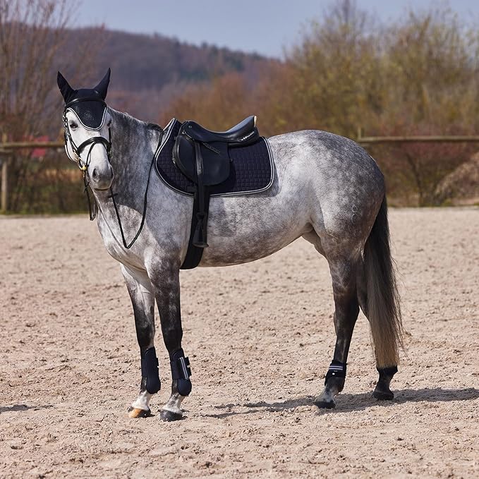 HORZE Adepto Open Front Tendon Boots | Durable Shell with Neoprene Lining - Dark Navy - Warmblood