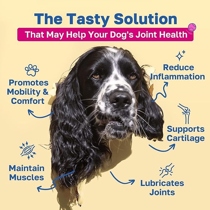 Happy Paws Hip & Joint Supplement for Dogs, Glucosamine Chondroitin for Dogs of All Breeds, Mobility Support Chews with Hyaluronic Acid & Turmeric, Vegan Bacon Flavor, Organic, Non GMO, 200 Chews