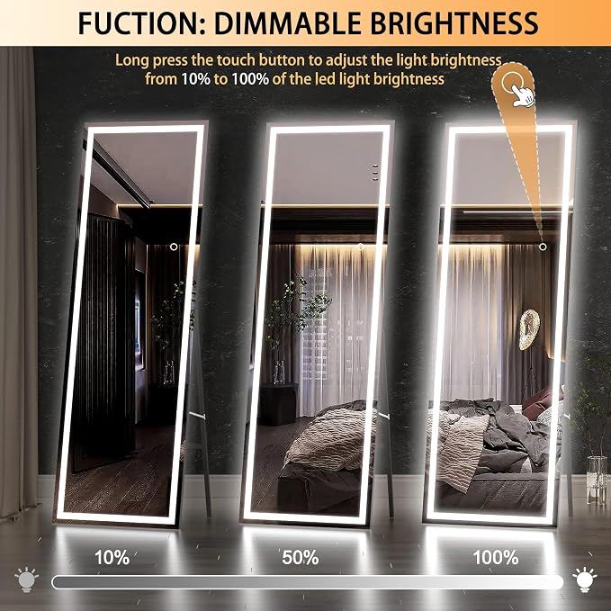 Hasipu Full Length Mirror with Lights, Full Body Dressing Standing, Hanging