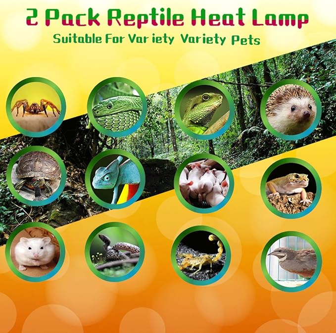 Reptile Heat Lamp Used in Reptiles 75W 100W Heat Lamp Bulbs for Reptiles 2 Pack Amphibians Basking Heat Lamp Bulbs UVA Daylight Basking Light (50Watts)