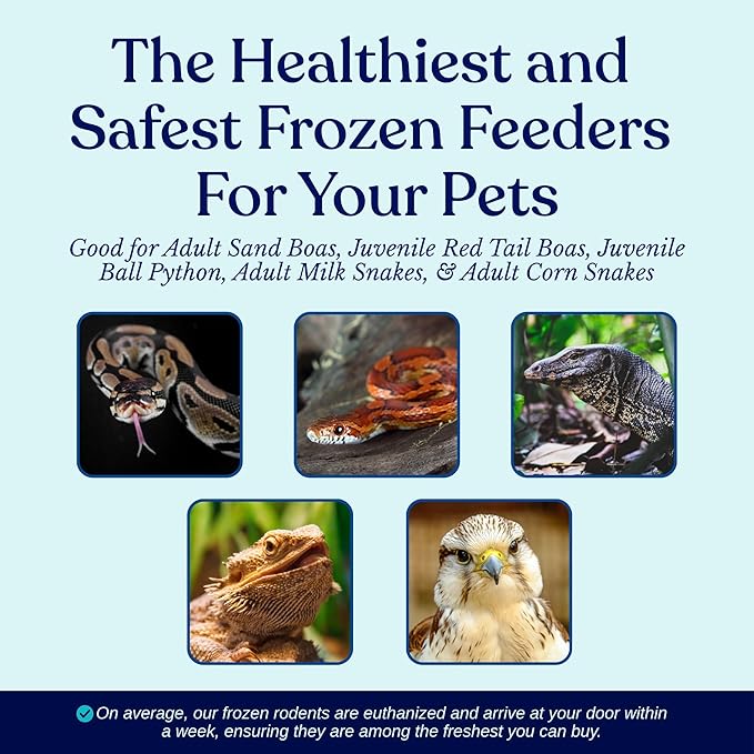Frozen Large Adult Feeder Mice Food for Adult Ball Pythons Juvenile Red Tale Boa Monitors Lizards (10 Count)