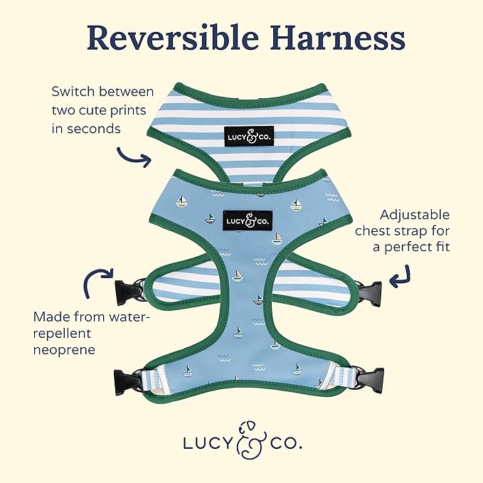 Lucy & Co. Set Sail Reversible Harness, Walking Halter - Best Designer Pet Harnesses for Small Dogs - Padded Adjustable Vest for Easy Walking, Small, Blue & White Stripes & Sailboats