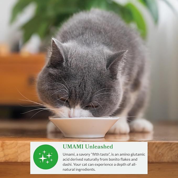 INABA Dashi Delights for Cats, 2.5 Ounce Cup, 6 Cups Total, Chicken with Cheese Recipe