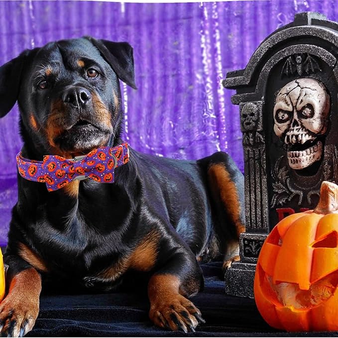 Dog Collar - Halloween Pumpkin Bowtie Pet Collar Gift Soft Bow Collar Pet Adjustable Metal Buckle Puppy Collars for Large Dogs