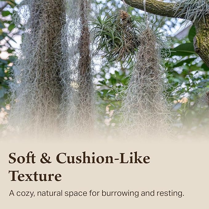 The Habitat Life - Natural Spanish Moss - for Reptiles, Amphibians & Invertebrates Terrariums - Humidity Control - Breathable Bedding - Dye-Free & Safe - Medium - 2 Pack
