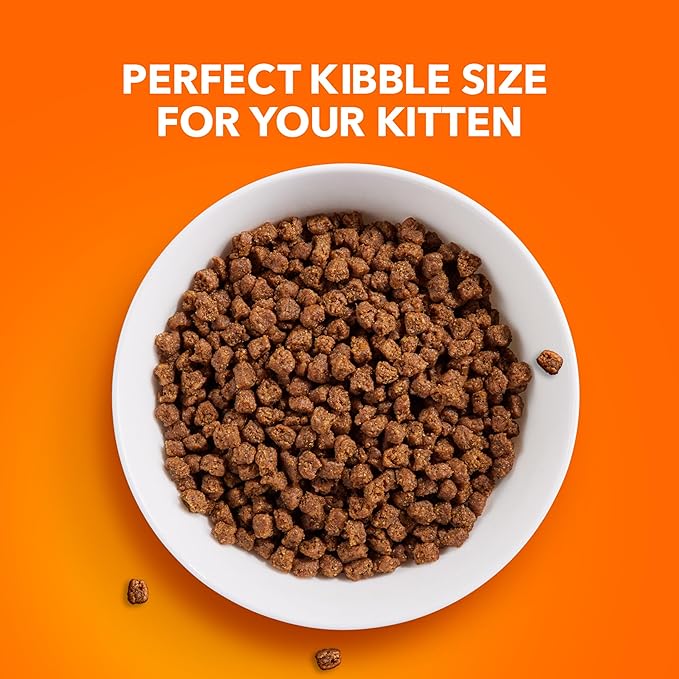 IAMS Proactive Health Healthy Kitten Dry Cat Food with Chicken, 16 lb. Bag