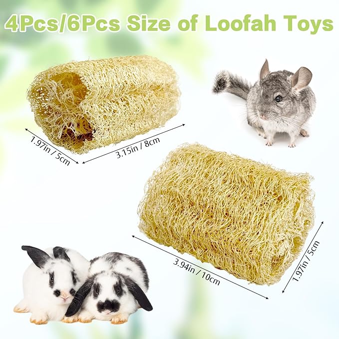 BNOSDM Bunny Chew Toys Natural Loofah 6PCS Bunny Teeth Grinding Toy Rabbit Fiber-Rich Treats Pet Entertainment Accessories for Rabbits Chinchillas Guinea Pig（XL）