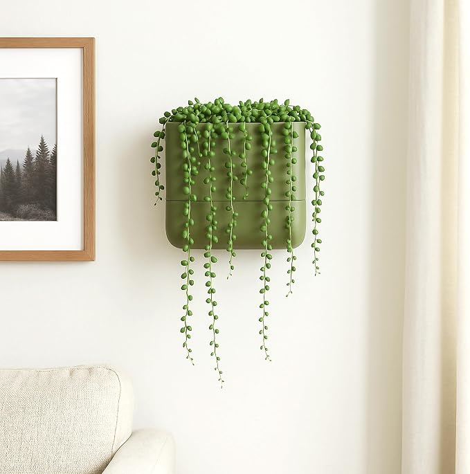 Phoenix Vine 6.5 Inch Wall Mounted Self-Watering Planter Pot