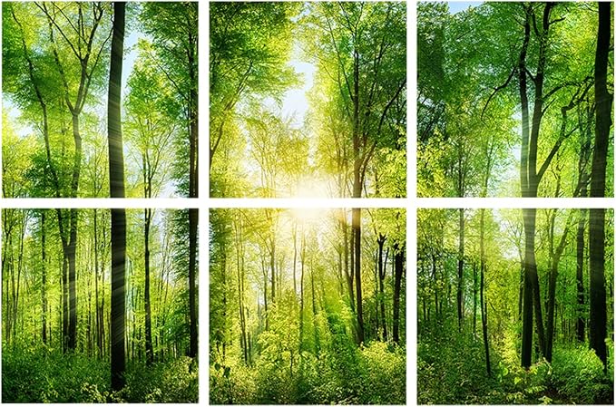 YPY Sound Proofing Panels for Walls Morning sunrise forest green trees: 6 Pack