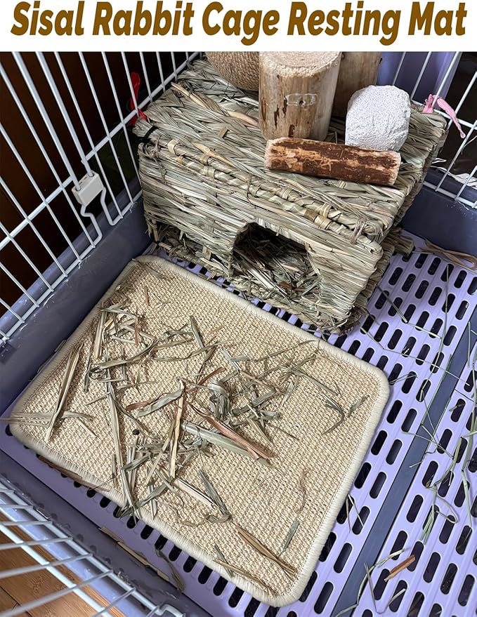 Rabbit Scratcher Mat 2 Pack Natural Sisal Bunny Scratching Mats, Small Animal Scratch Pad Rug for Indoor Grinding Claw Pad for Guinea Pigs Chinchillas (Beige)