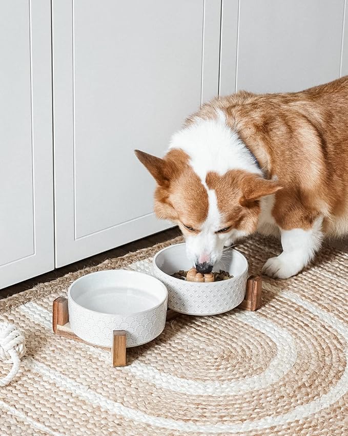 LE TAUCI Dog Bowl Set with Acacia Wood Stand - 1.5-Cup Ceramic Puppy Bowls for Small Dogs, Dual Food and Water Bowls with Weighted Non-Slip Base, Clover