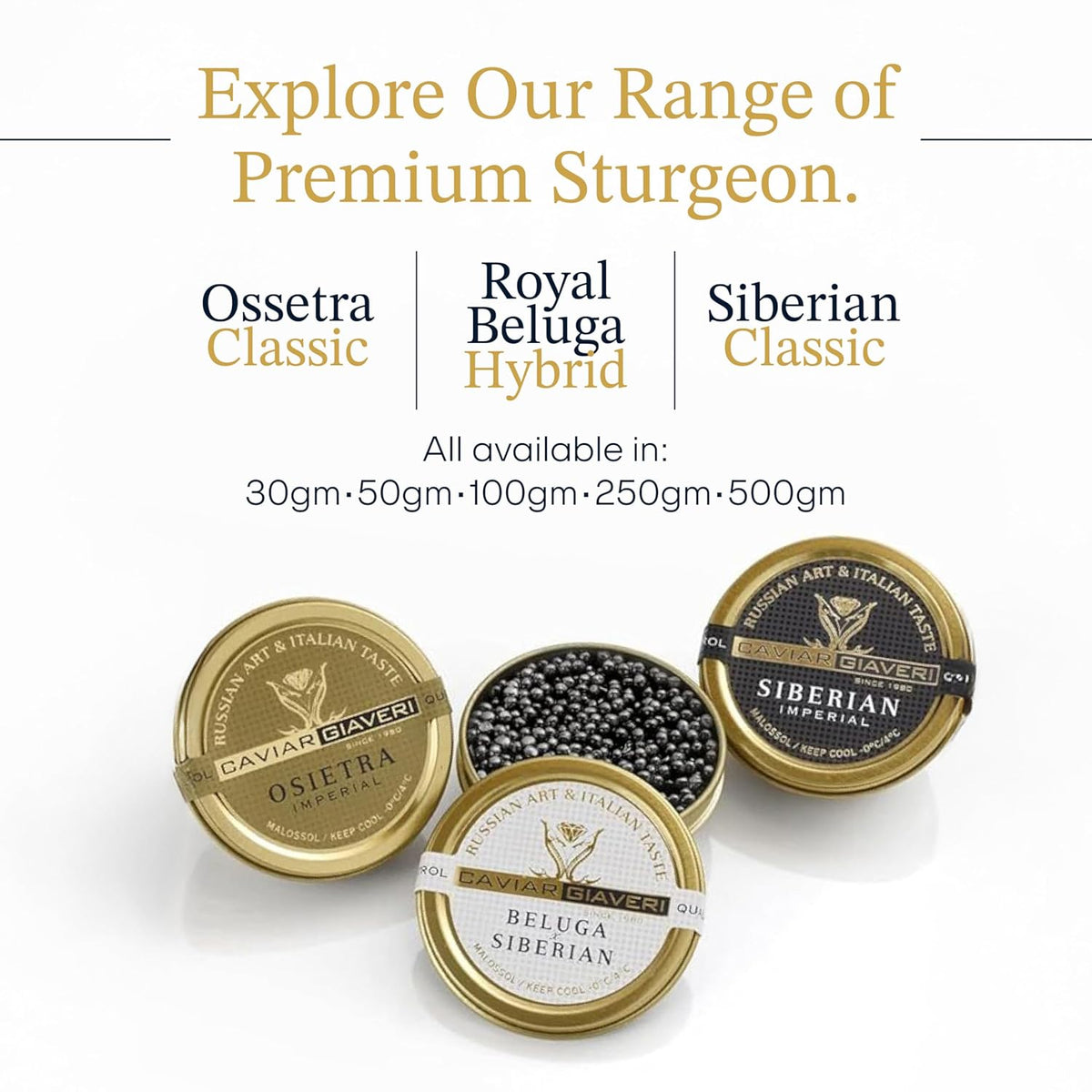 Overnight Guaranteed, BESTER Premium Russian Osetra Sturgeon Black Caviar - (8.8 oz-250g) - Malossol Ossetra Black Roe - Premium Quality, Traditional Style, Imported. Free blinis and 2 spoons.