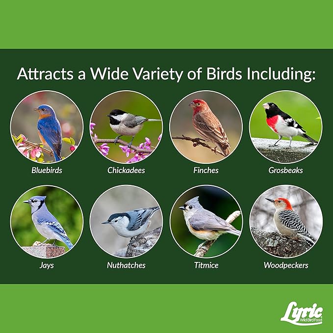 Lyric Fine Tunes Wild Bird Seed - No Waste Bird Food Mix - Attracts Colorful Wild Birds - Perfect for Your Backyard Feeders - 10 lb. (pack of 2 - 5 lb bags)