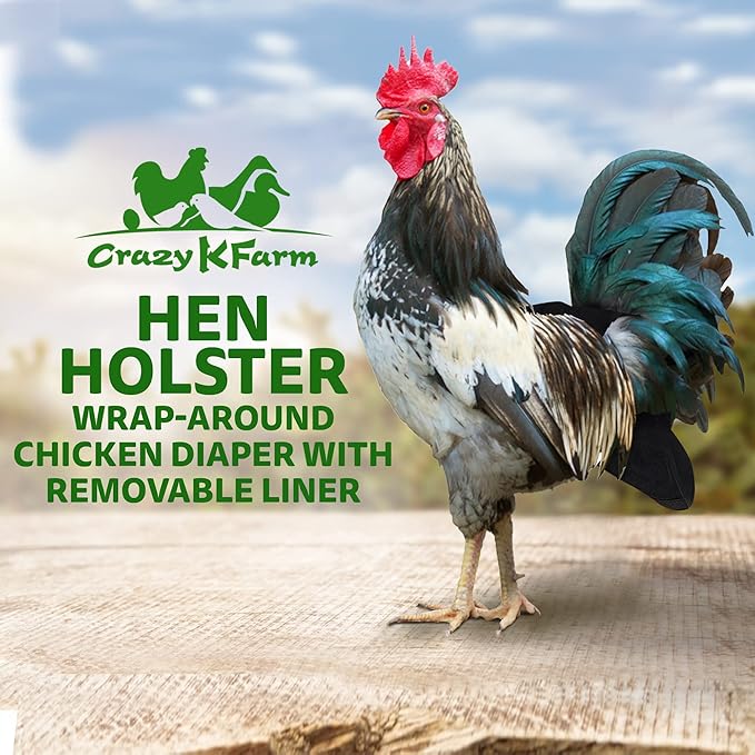 Hen Holster Wrap-Around Bird Diaper & Harness for Hens, Roosters, Ducks, Geese - with Removable Vinyl Liner, Adjustable Fit for Outdoor Adventures & Indoor Use - Easy to wear - XL, Black