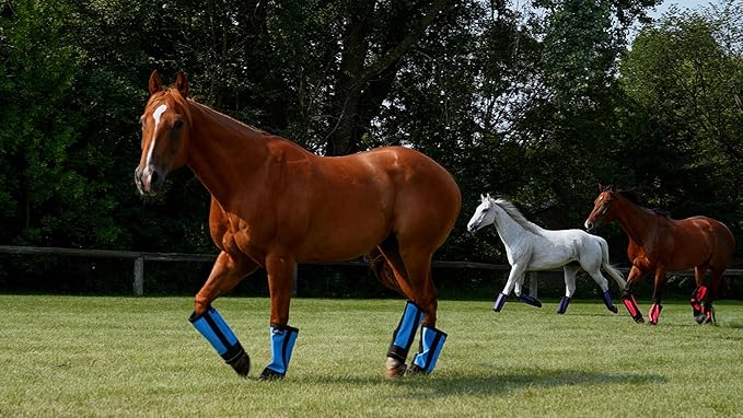 Warrior Fly Boots for Horses - Breathable Mesh Horse Boots for Fly Protection & Leg Comfort - Set of 4 (Goliath Warrior, Neon Pink)