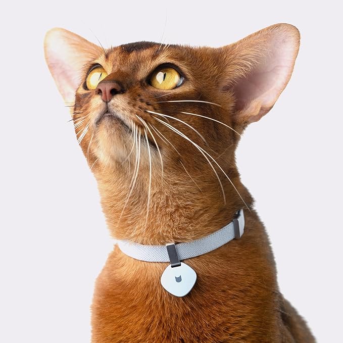 Safety Cat Collar Pro - U.S. IDA Gold Awarding Design, Elastic Quick Release Cat Collar with Buckle Non Breakaway - Lightweight for Kitten All Small Large Cats (Linen, M 7.9-15.7")