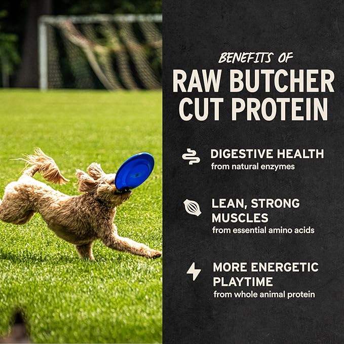 Vital Essentials Single Ingredient Bully Sticks Dog Treats, 1.4 oz | Freeze-Dried Raw | Premium Quality High Protein Training Treats | Grain Free, Gluten Free, Filler Free
