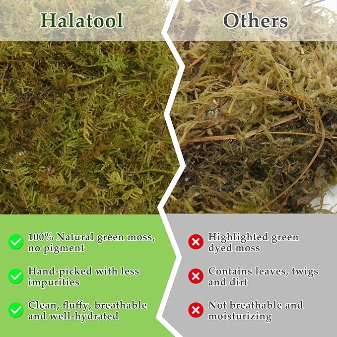 Halatool 2.5LB Natural Sphagnum Moss for Reptiles- 60QT Green Moss for Terrarium Plants Long Fiber Reptile Moss for Leopard Gecko Snake Hamsters Tortoises Frogs Lizards Salamanders