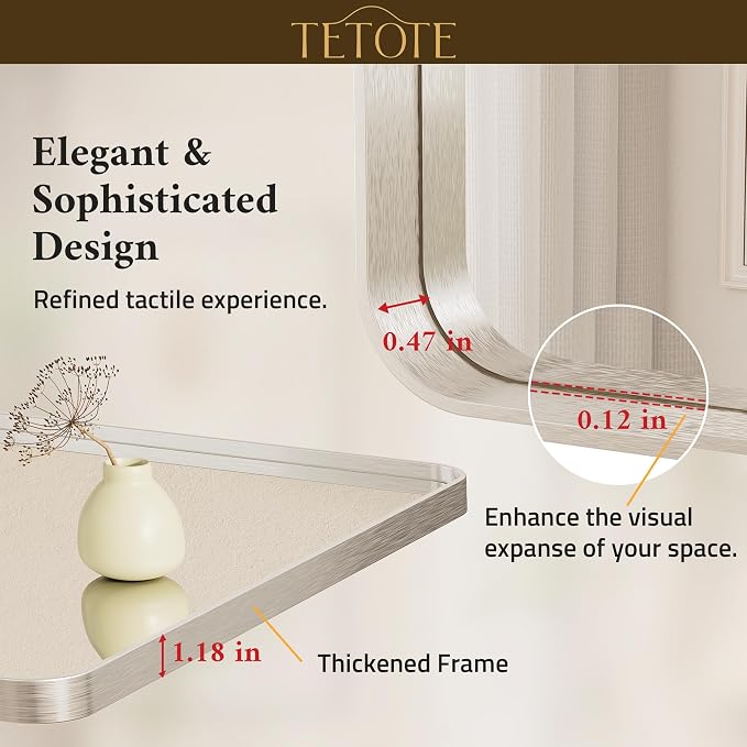 TETOTE 60 x 40 Inch Brushed Nickel Mirror
