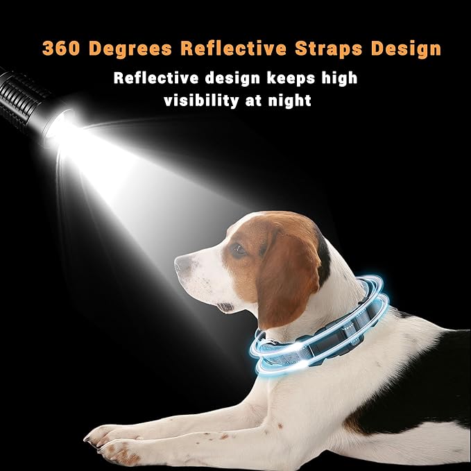 2 Pack Reflective Dog Collar with Safety Locking Buckle, Adjustable Soft Breathable Comfortable Nylon Pet Collar for Small, Medium and Large Dogs, Gray, XL
