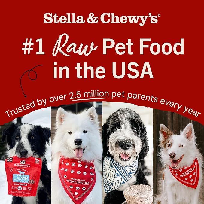 Stella & Chewy's Freeze-Dried Raw Dinner Patties - Absolutely Rabbit Recipe - High Protein Grain-Free Puppy & Dog Food - Perfect For Picky Eaters - 14 oz