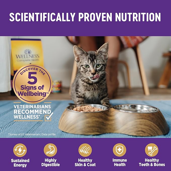 Wellness Complete Health Gravy Adult Wet Cat Food, Natural, Protein-Rich, Grain Free, 5.5 Ounce , 12 Pack, (Chicken Dinner)