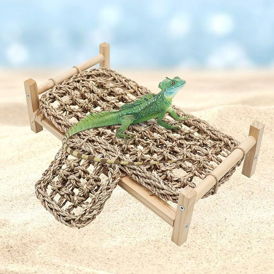 Dnoifne Bearded Dragon Bed with Climbing Ramp - Natural Wood and Seagrass Hammock, Reptile Tank Basking Platform Accessories for Leopard Gecko Lizard Frog - 12.6 × 7.1 × 3.9 inch