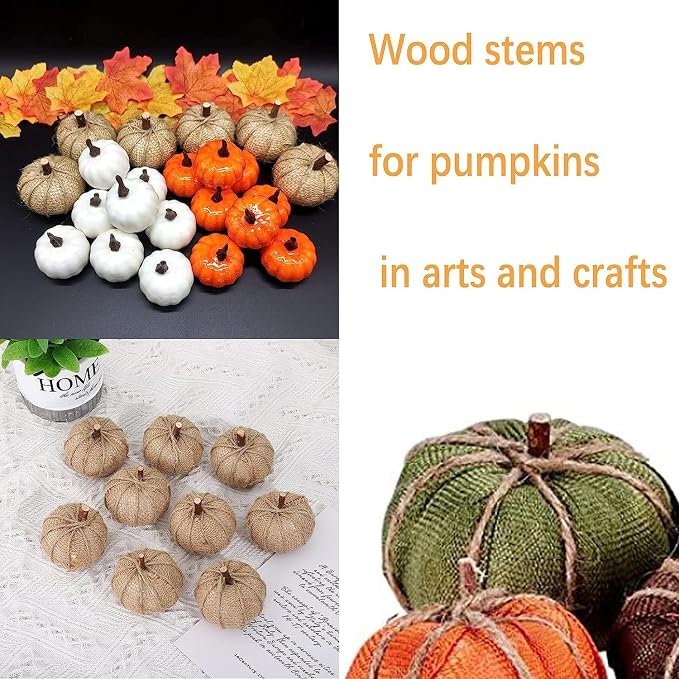 Craft Sticks, Wood Sticks Crafting Twigs Crafts Log Toy DIY Vase Fillers Pumpkin Stems Rustic Decorations Ornaments,Loose Parts Play Materials