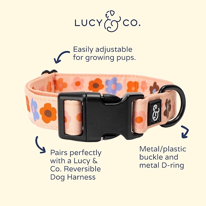 Lucy & Co. Let's Groove Adjustable Dog Collar- Cute Designer Pet Collar for Small, Medium, Large Dogs- Buckle Closure Dog Accessories, Large, Purple & Coral Floral