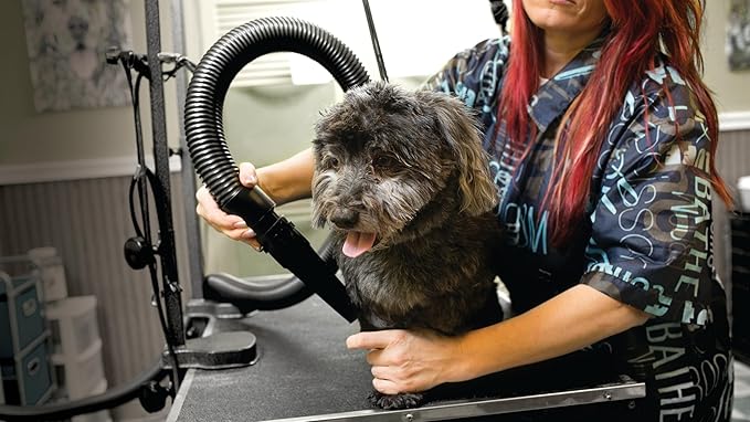 METROVAC AFTD-3: Air Force Commander 2-Speed Dryer - Pink | 4.0 HP | Professional Pet Grooming Blower | Made in USA