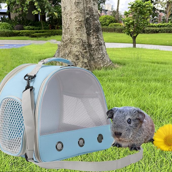 Ventilation Carrier for Bearded Dragons, Guinea Pigs, Reptiles & Small Pets - Airline Approved Mesh Carrier (Blue)