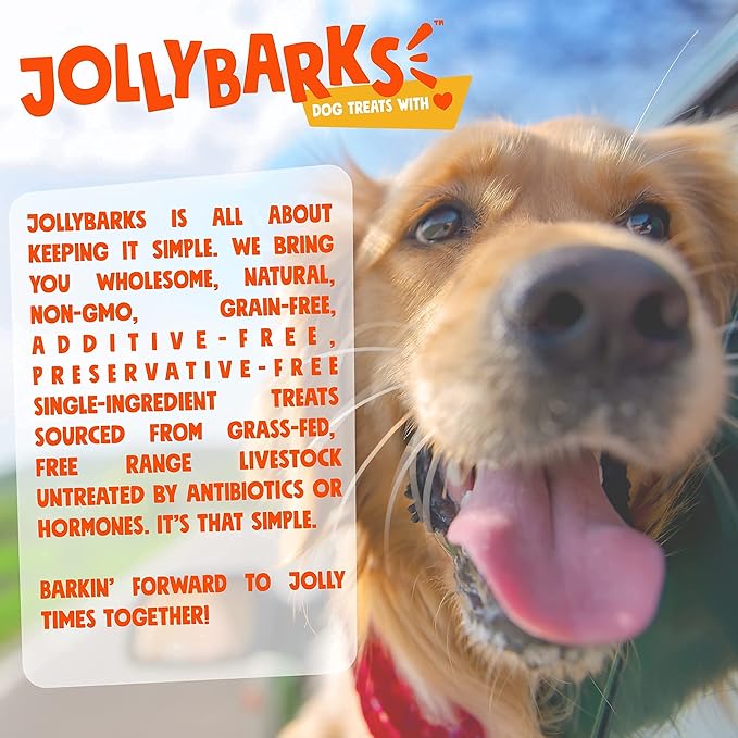 Bully Sticks for Small Dogs | All Natural, Single Ingredient Bully Sticks for Puppies to Medium Dogs (Bully Bites - 1lb)