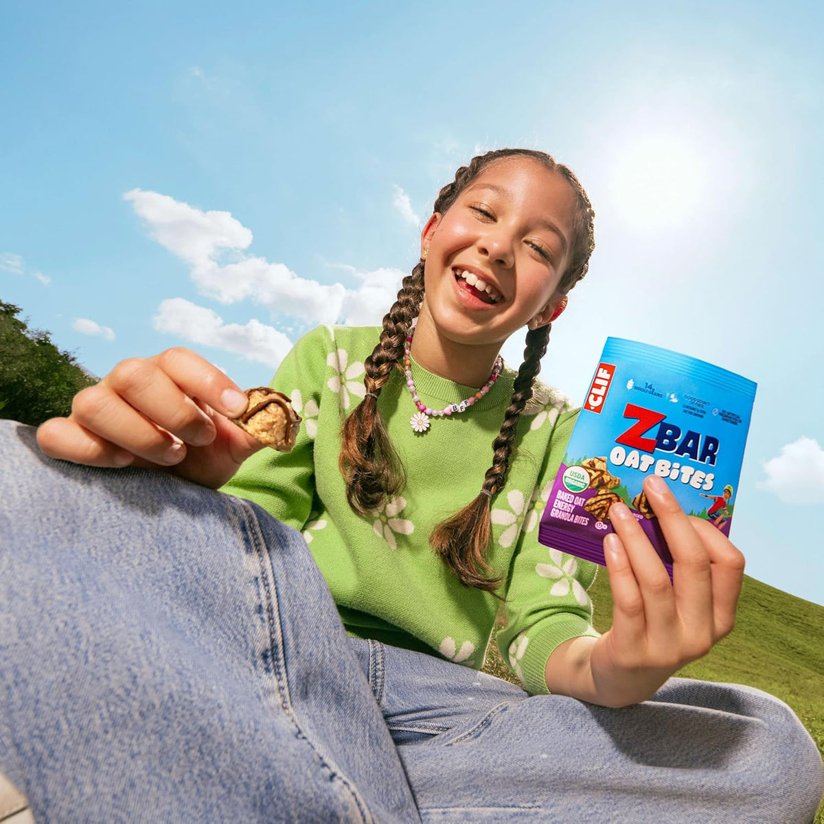 Zbar Oat Bites - Chocolate Chip - Baked Oat Energy Granola Bites - USDA Organic Snacks for Kids - 14g Whole Grains (6 Snack Packs)