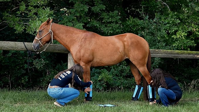 Warrior Fly Boots for Horses - Breathable Mesh Horse Boots for Fly Protection & Leg Comfort - Set of 4 (Knight Warrior, Red)