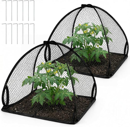 DECOHS 2 Pcs Pop-Up Mesh Plant Cover Tent, 22 x 22 x 22 Inch Garden Net Cage Guard Cover, Plant Protector Enclosure with 12 Ground Stakes for Protecting Plants Vegetable Fruit from Birds Insects