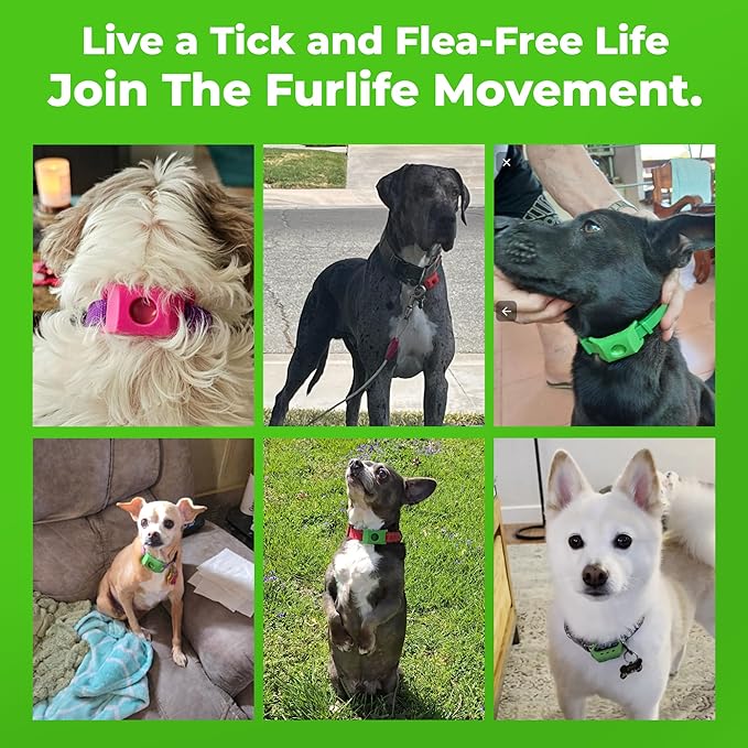 FurLife Blue Dog Tag, Flea and Tick Prevention for Dogs - Waterproof Pendant for Collar, Safe for All Breeds
