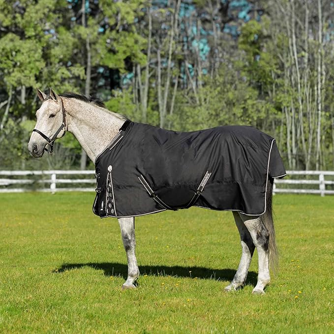 Equinavia Norse Lightweight 100g Fill Horse Rain Blanket | Waterproof Turnout Sheet - Black - 66 in - Black - 69 in