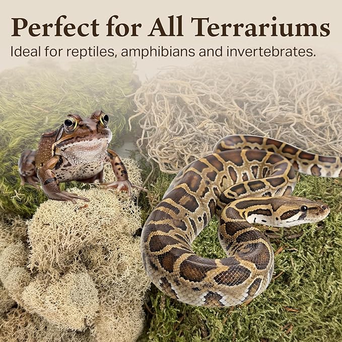 The Habitat Life - Natural Variety Pack - Mix of Reindeer, Mood, Sheet & Spanish Moss - for All Terrariums - Humidity Control - Breathable Bedding - Dye-Free & Safe - Small - 1 Pack