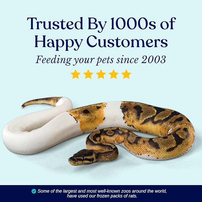 Frozen Large Adult Feeder Mice Food for Adult Ball Pythons Juvenile Red Tale Boa Monitors Lizards (10 Count)