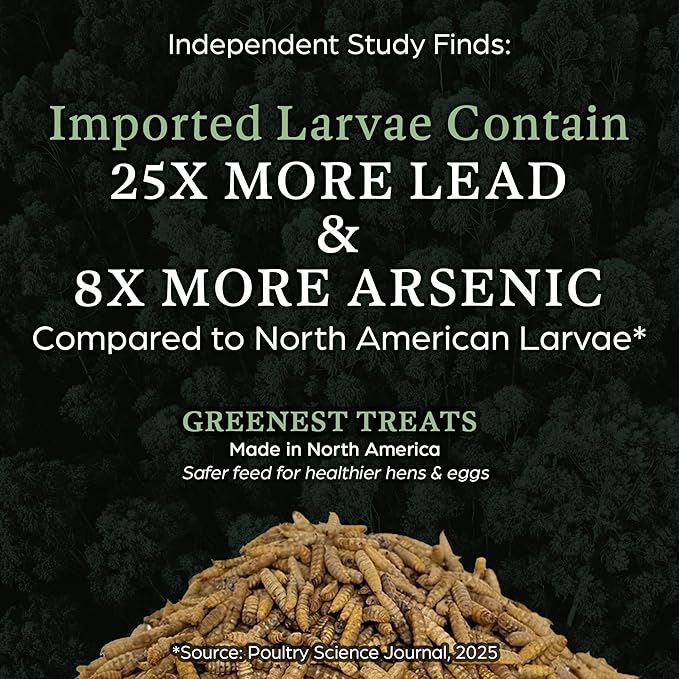 Dried Black Soldier Fly Larvae for Chicken - Treats for Hens, Duck, Wild Birds, Lizard, Tortoise, Fish - All Natural High Protein Dried Mealworms Alternative - Made in North America