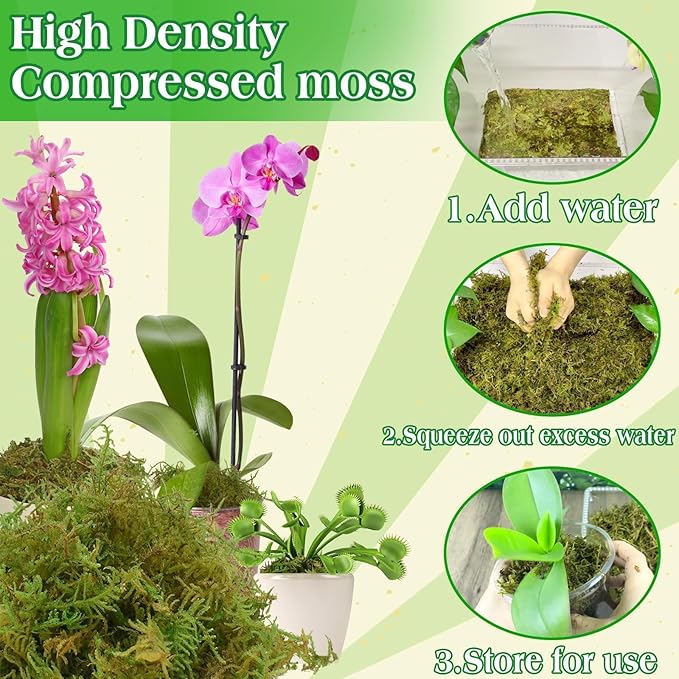 Halatool 6OZ Green Moss for Indoor Plants, 8QT Orchid Moss for Repotting, Forest Moss for Potted Plants, Real Moss for Succulent Carnivorous Houseplant Terrariums Garden Reptiles