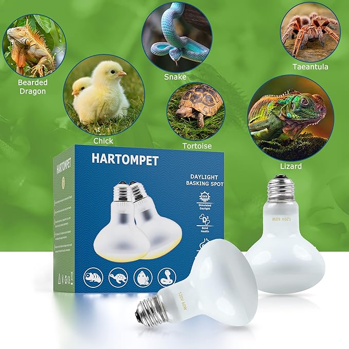 Reptile Heat Lamp Bulbs 75W E26 - UVA Basking Spot Light for Reptiles - Simulated Sunlight for Bearded Dragon, Lizard, Tortoise, chickss and More | 2 Pack