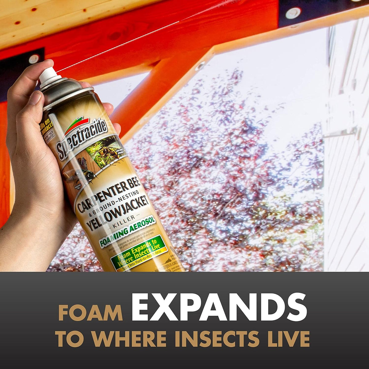 Spectracide Carpenter Bee and Ground Nesting Yellow Jacket Foaming Aerosol, 16-Ounce