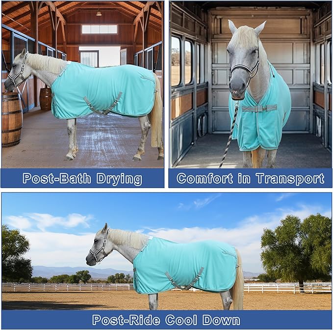 Horse Fleece Cooler, Blanket Liner - 300g Anti-Pilling Fleece, Moisture-Wicking, Cooling & Drying for Post-Workout, Bath & Travel, Prevent Overheating & Chilling Mintgreen 84