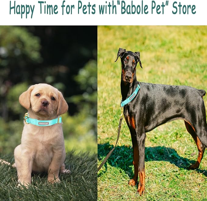 Nylon Dog Collar - Adjustable Lake Blue Soft Webbing Dog Collars for Small Medium Large Dogs Boy Girl Puppy Collar with Safety Metal Buckle L