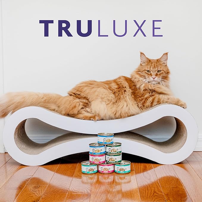Weruva Truluxe Cat Food, On The Cat Wok with Chicken Breast & Beef in Pumpkin Soup, 3Oz Can (Pack of 24)
